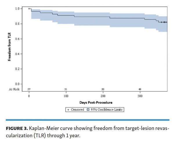 kaplan-meier-curve-freedom-from-target-lesion-revascularization